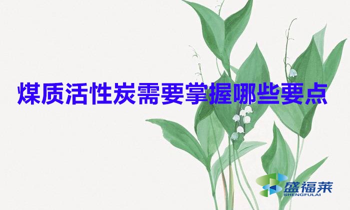 煤質活性炭需要掌握哪些要點（煤質活性炭使用注意事項）
