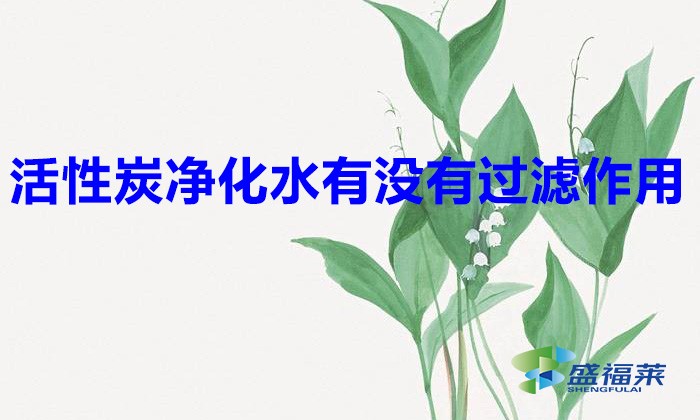活性炭凈化水有沒有過濾作用（活性炭在凈水行業的應用）