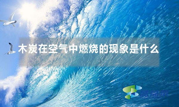 木炭在空氣中燃燒的現象是什么
