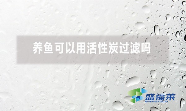 養魚可以用活性炭過濾嗎