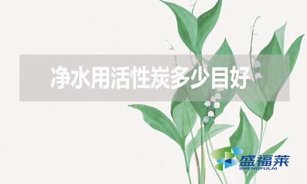 凈水用活性炭多少目好？有哪些優(yōu)缺點？