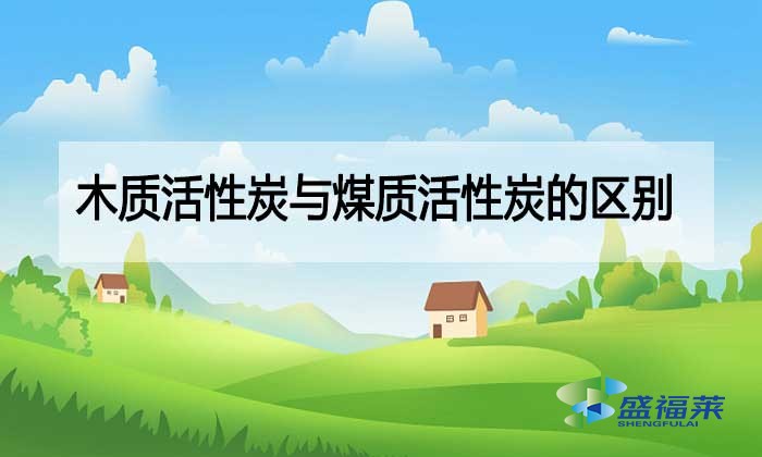 木質(zhì)活性炭與煤質(zhì)活性炭的區(qū)別