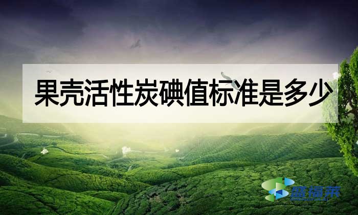 果殼活性炭碘值標準是多少？與其他活性炭相差多少？